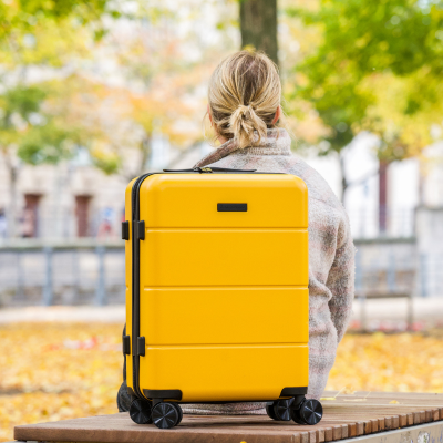 Gul Kabinväska i Berlin